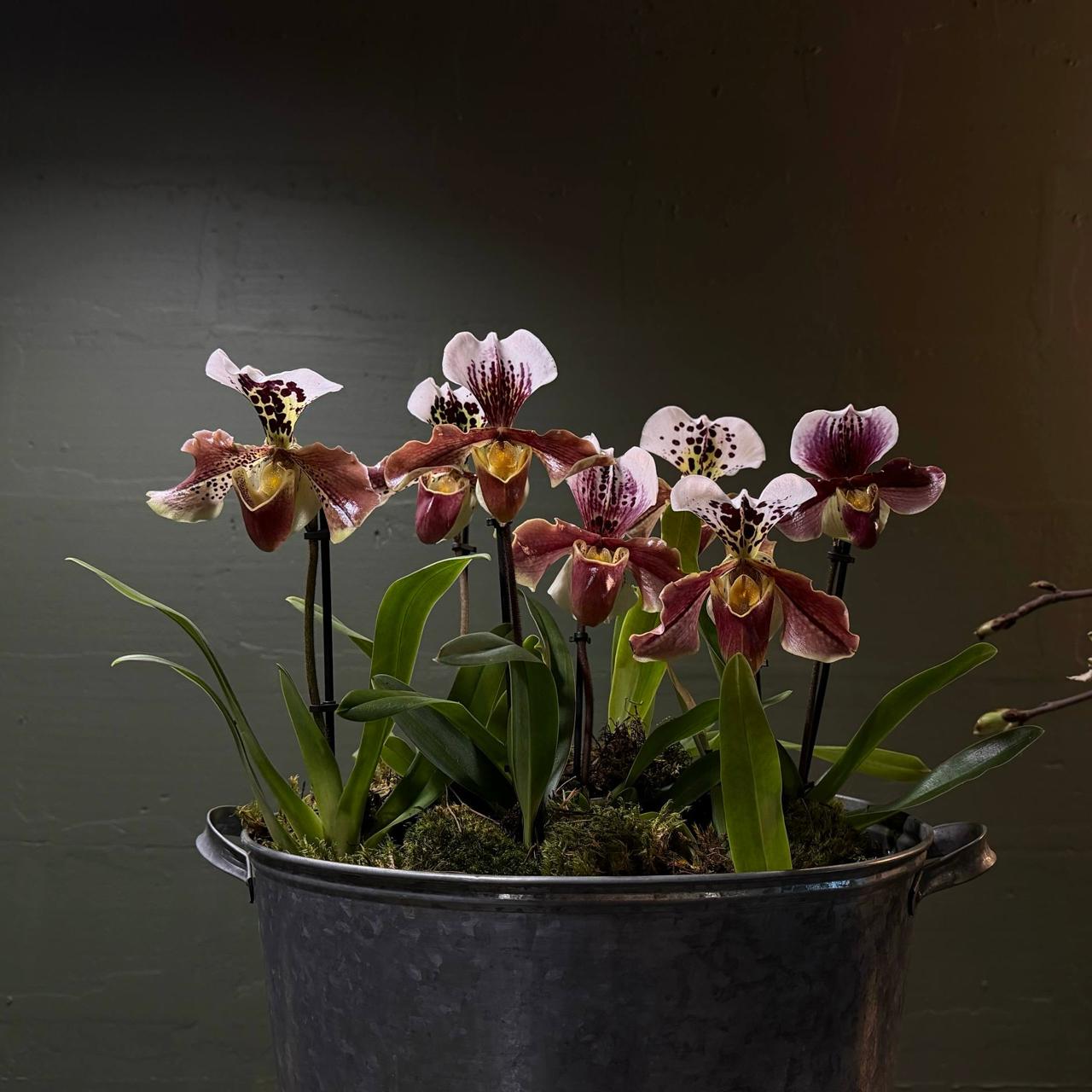 СМЕНА СЕЗОНА