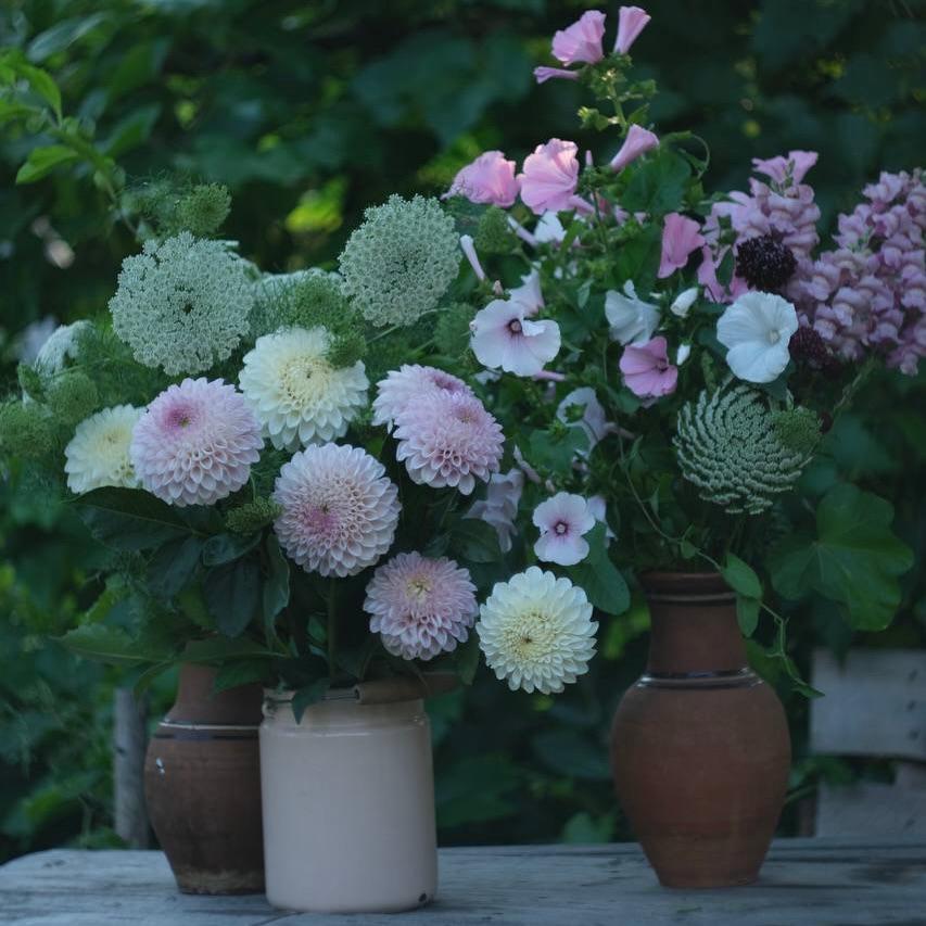 СМЕНА СЕЗОНА