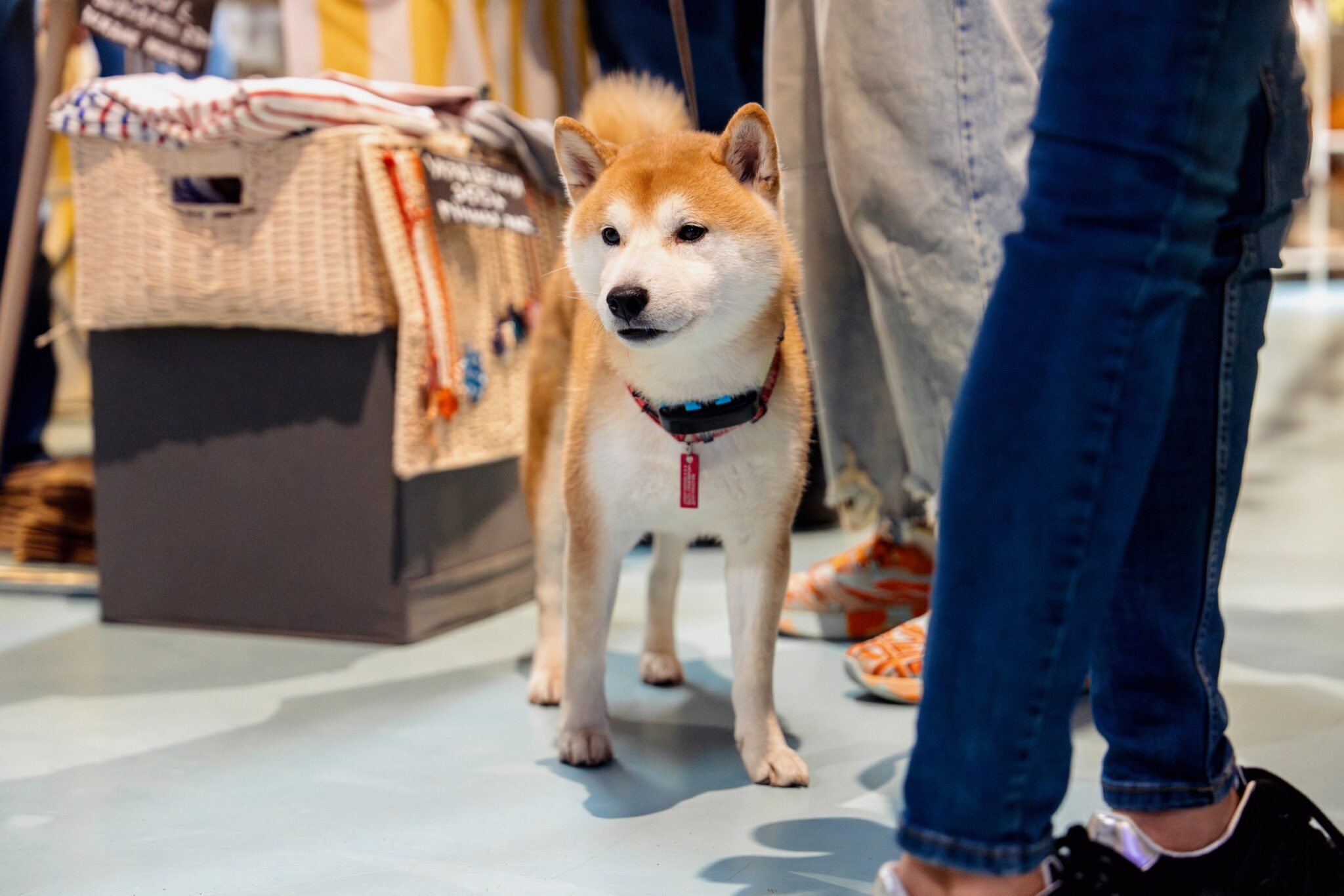 Flowwow маркет