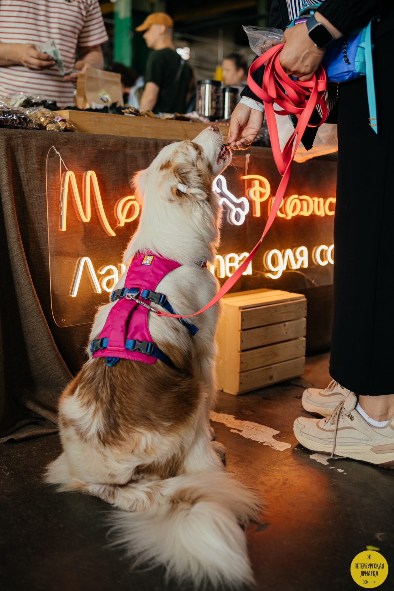 Петербургская ярмарка