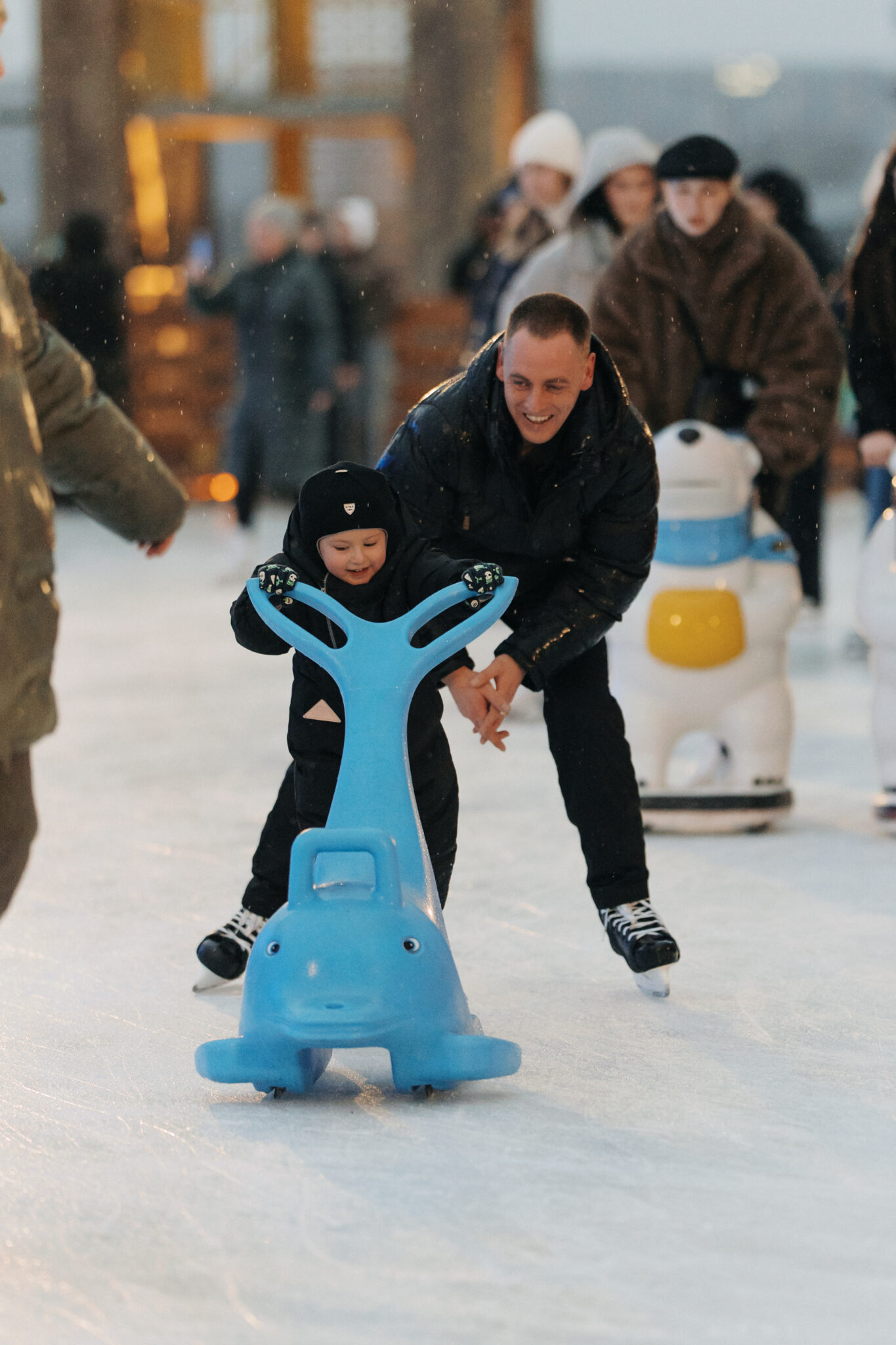 Вы на Катке у моря / night2day / 29.11