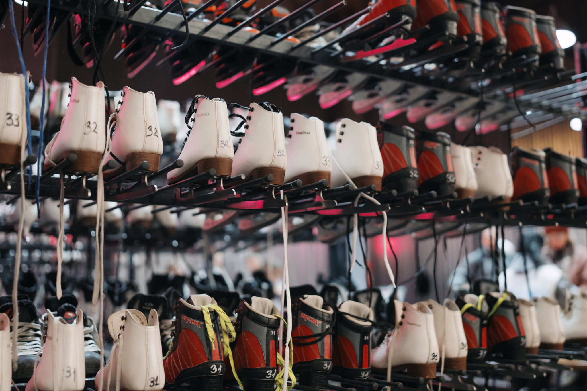 Вы на Катке у моря / night2day / 29.11