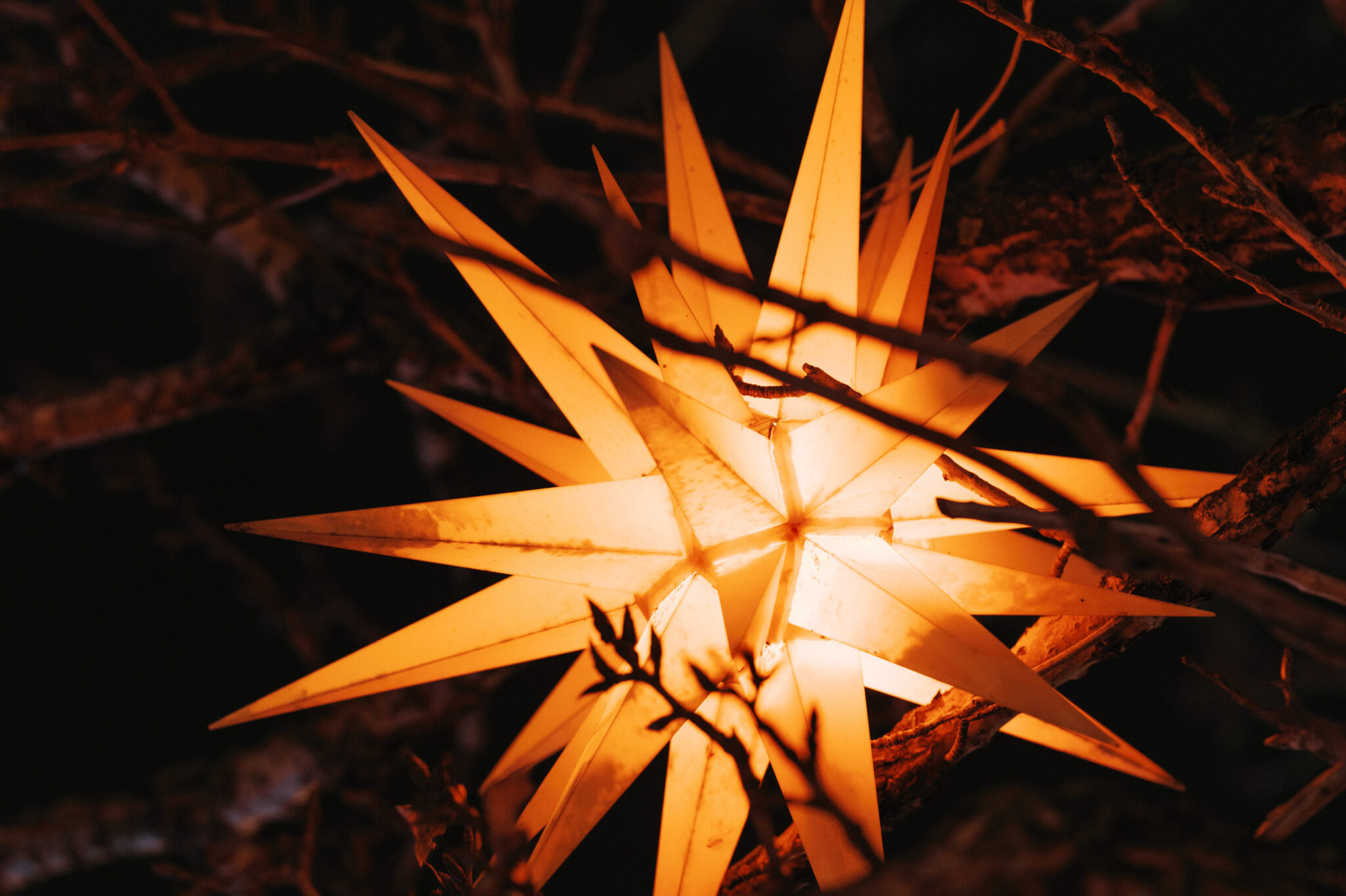 Вы на Катке у моря / night2day / 29.11